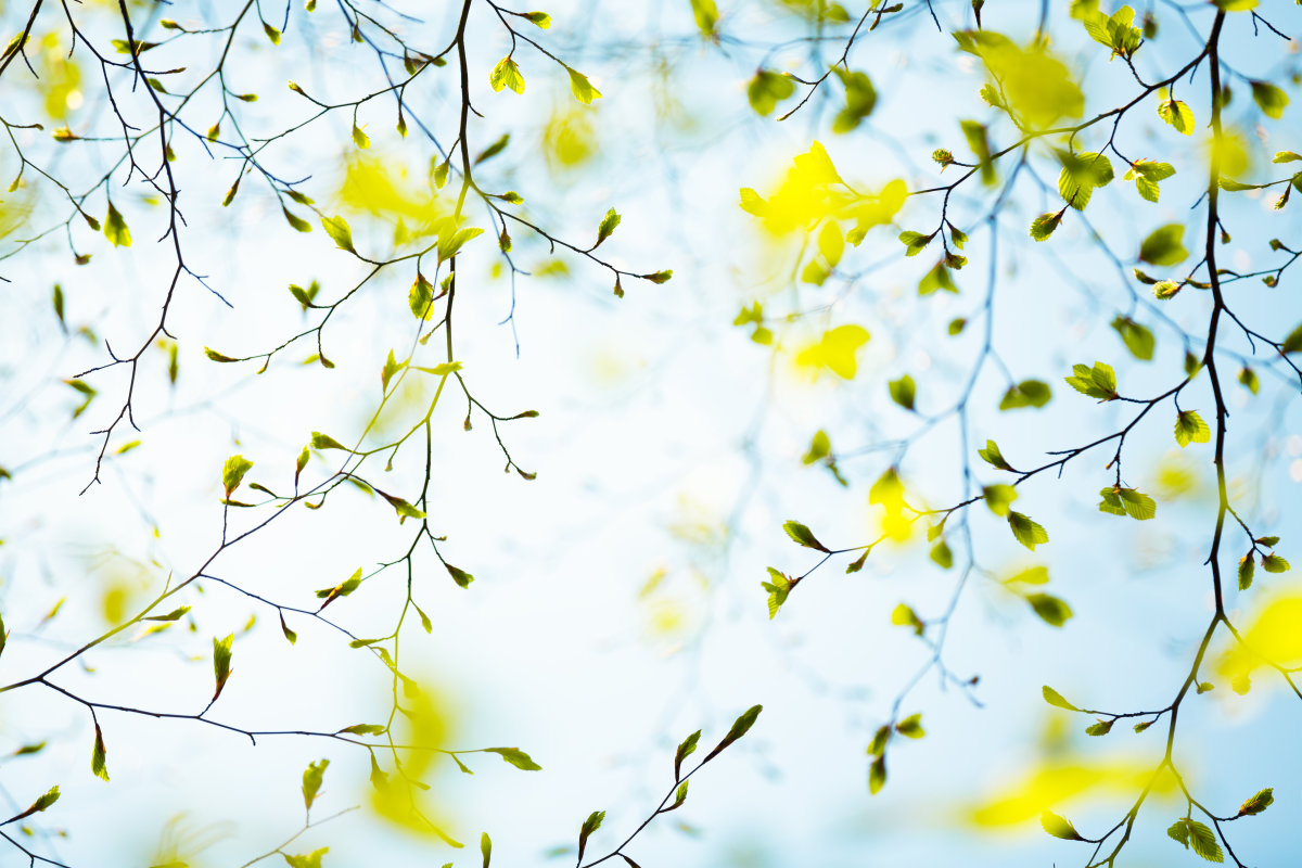 这个春分,如何从油腻中年秒变翩翩少年???